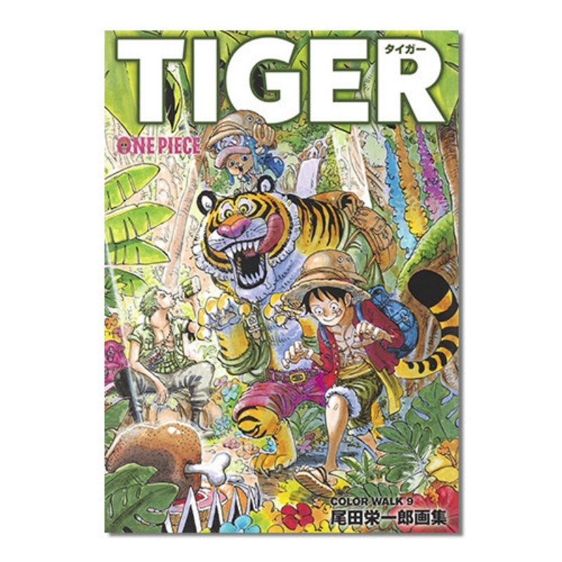 Stationery Books - Libro Illustrato One Piece Color Walk