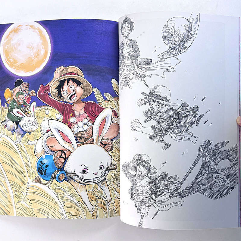 Libro Illustrato One Piece Col - Stationery Books recensione e prezzo