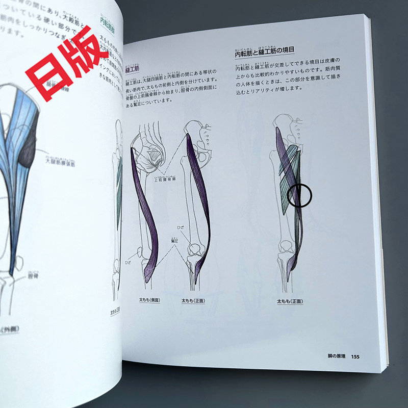 Elementi fondamentali del dise - Japanese Manga Drawing Tutorial Book recensione e prezzo