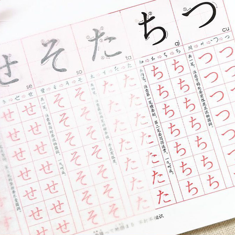 Quaderno di Pratica per Princi - Chinese Calligraphy Practice Book recensione e prezzo